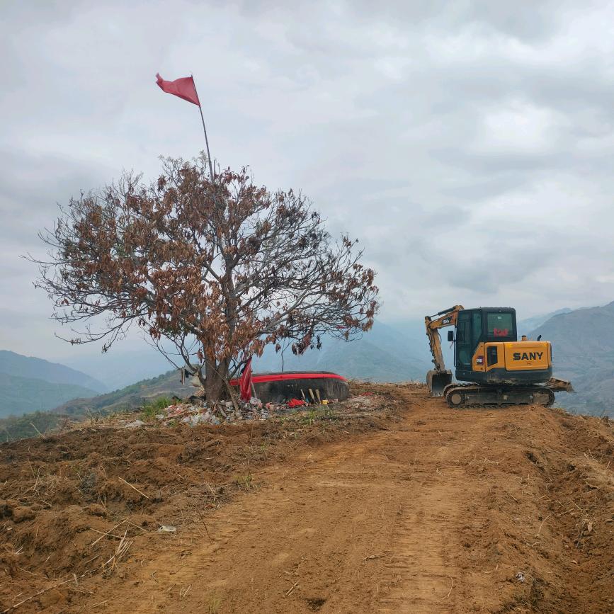 高明挖机出租《金平》