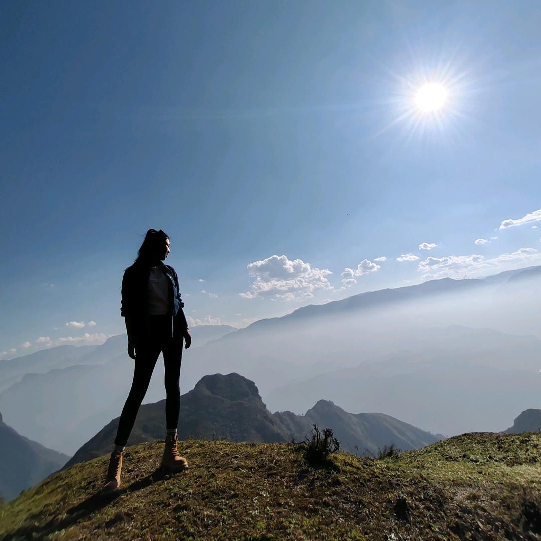 🎀。阿鲁莫。竹子✨
