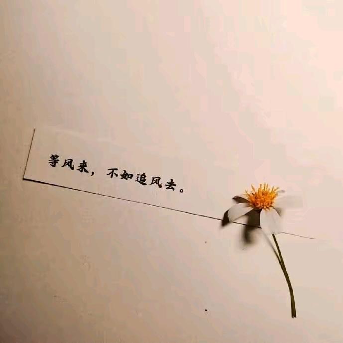 ㄈㄢˊㄈㄨㄙㄨˊㄗˇ