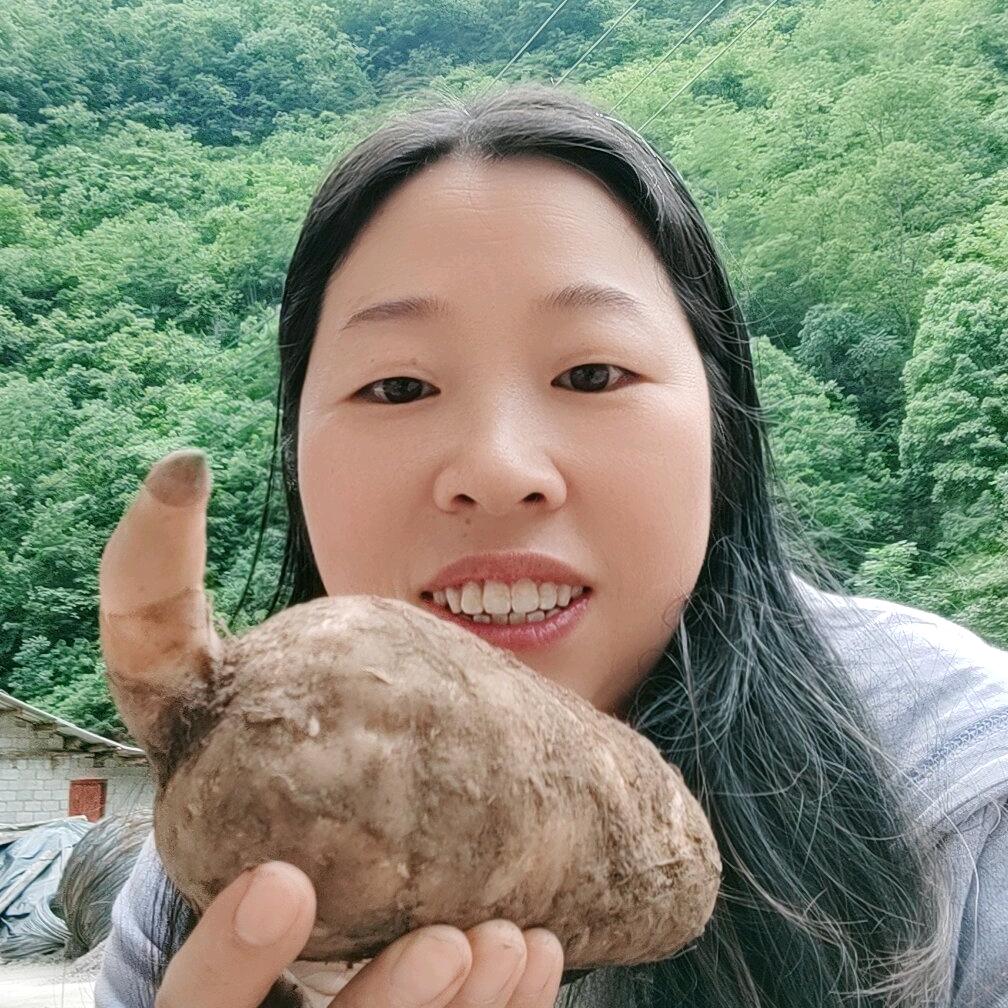 小草坝天麻专业种植户