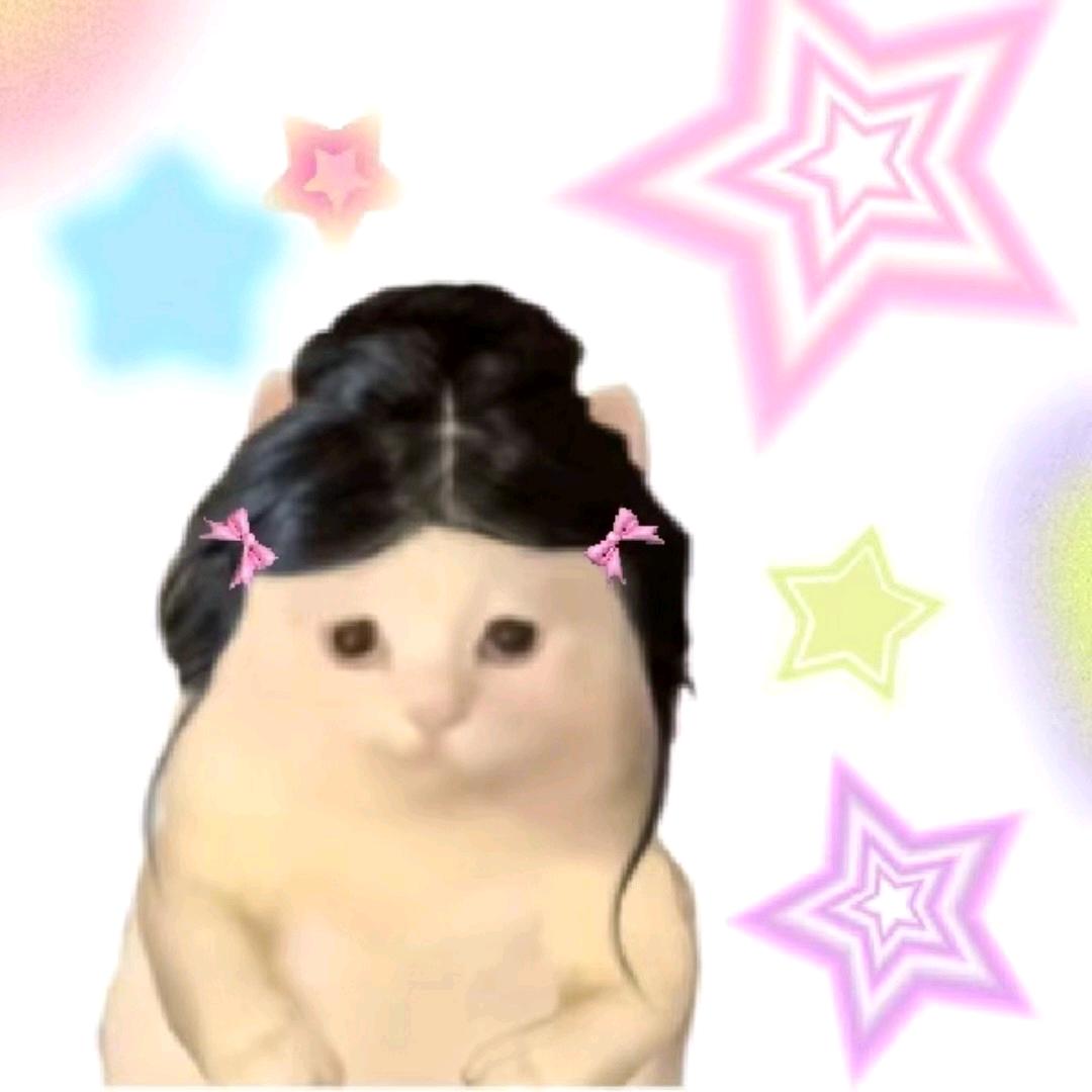 点点提子