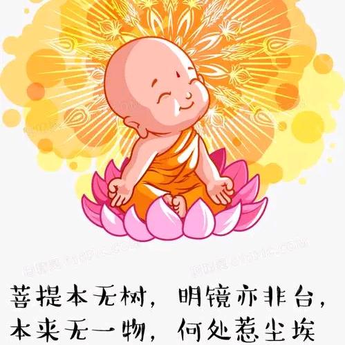 能悟，能悟哈😊