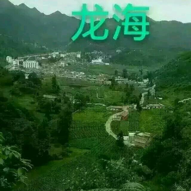 怀抱天下