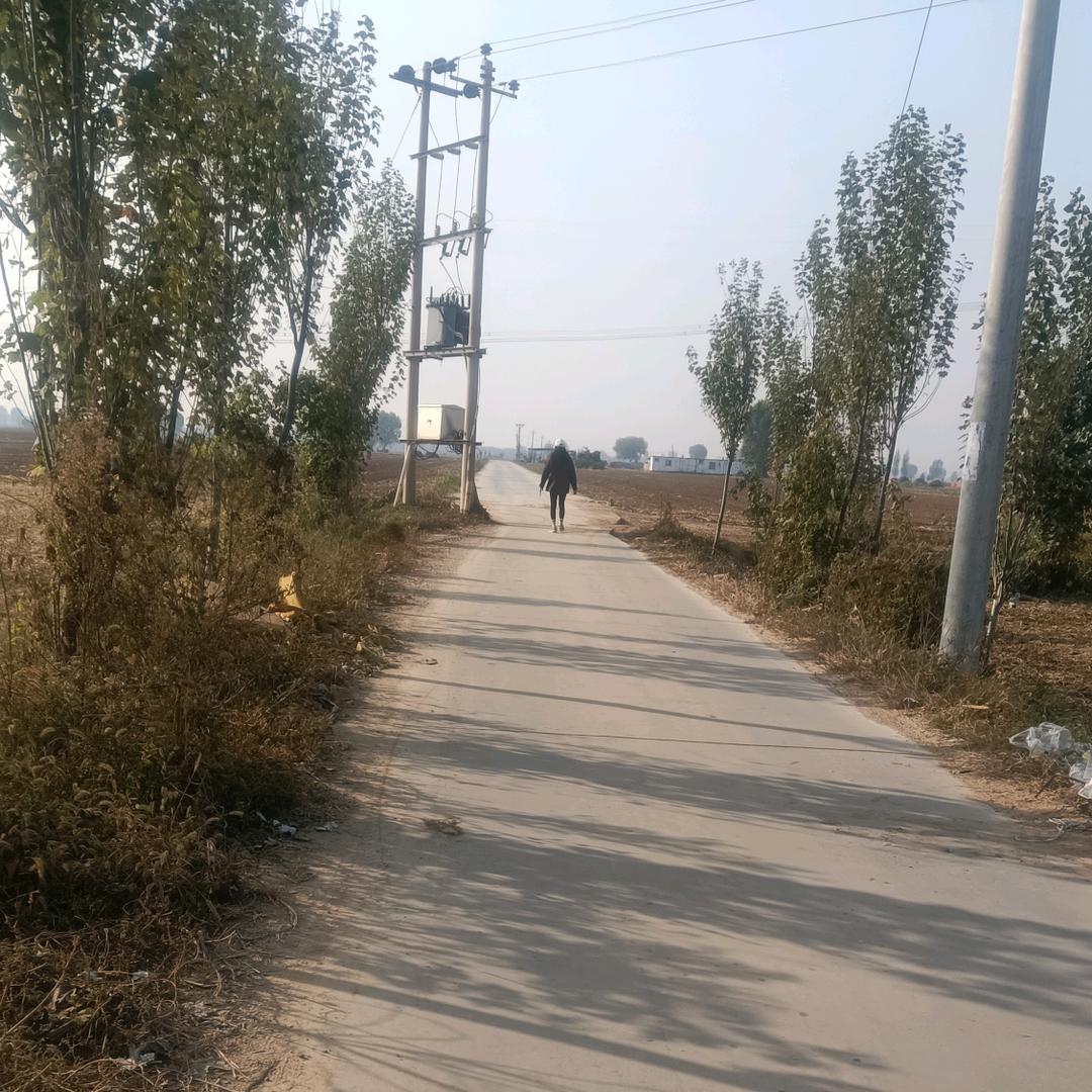 mengmeng？？？？