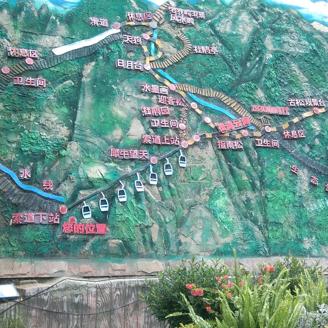 伟哥