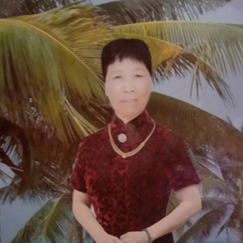 梦圆
