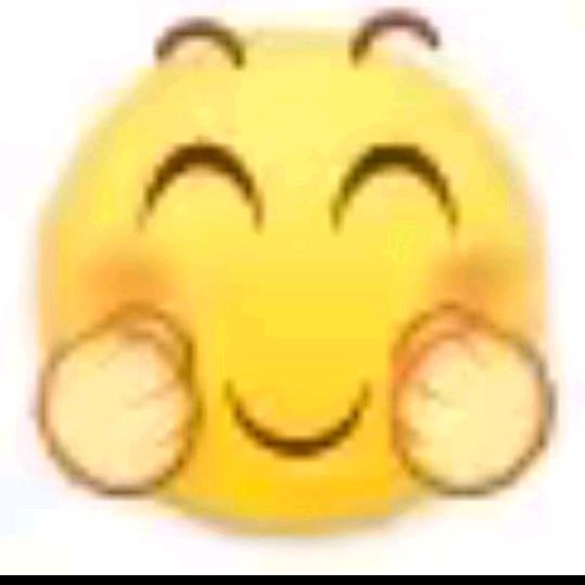 琳琳回来了