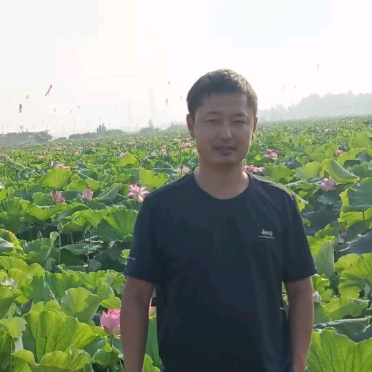 方寸山
