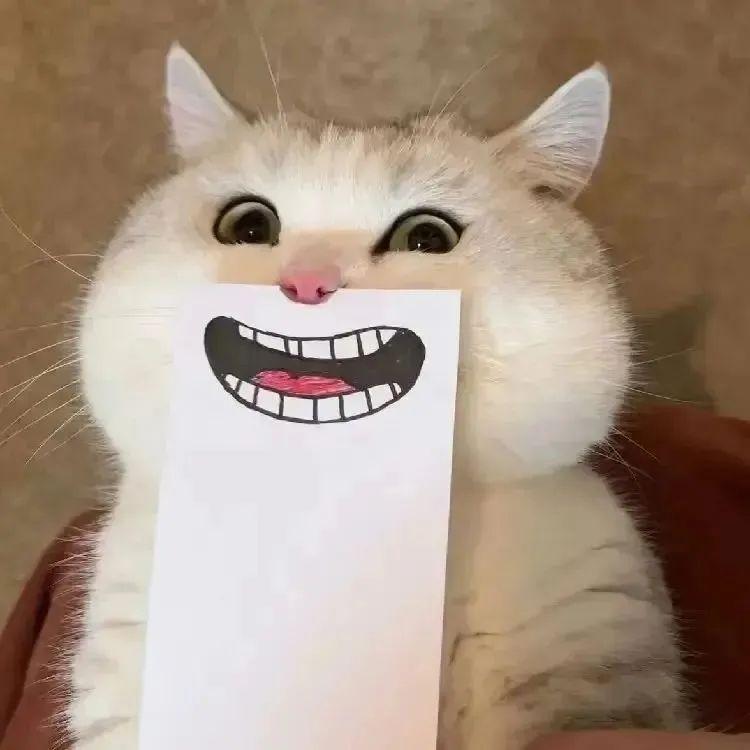 駕壹