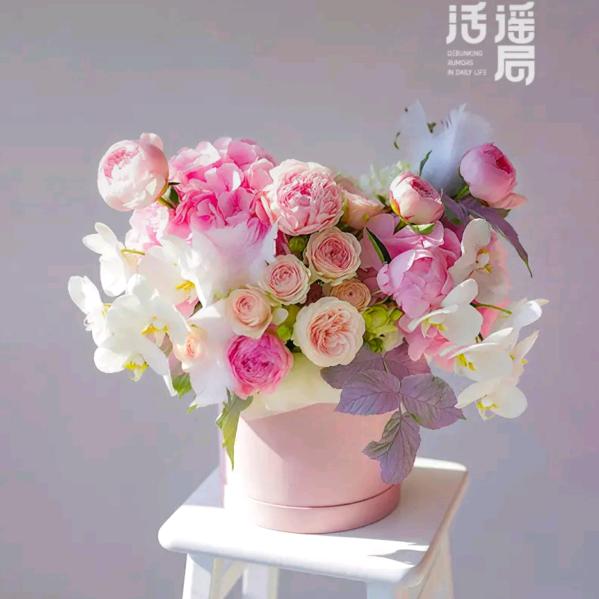 敏敏（我的减肥日记）