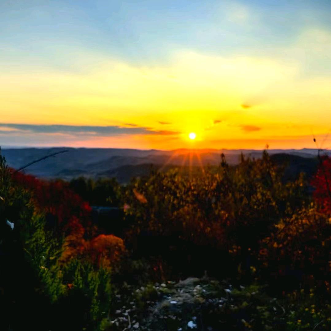 草原狼～～～远方！