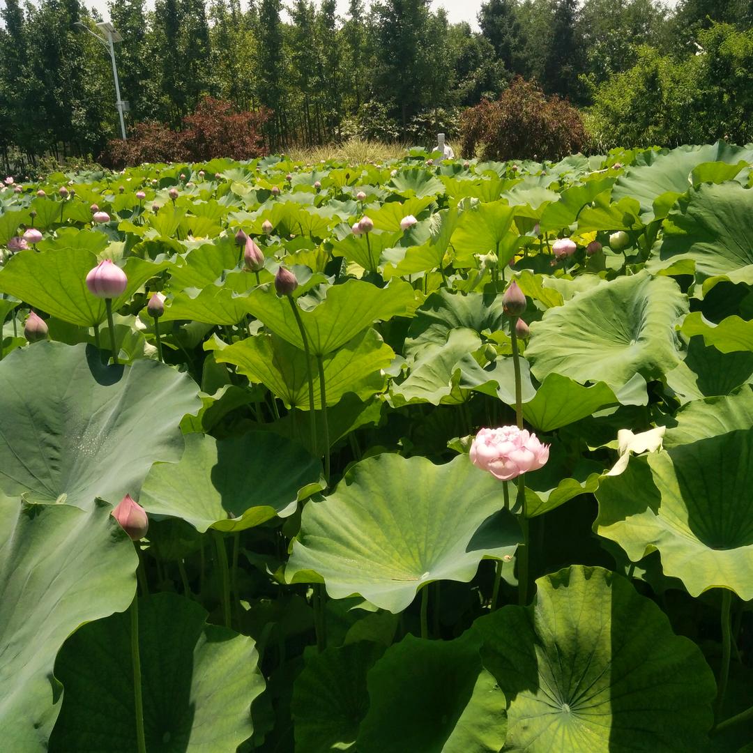 ঞ🍒好运💕&加满🌴꧔ꦿ᭄࿐ᩚ
