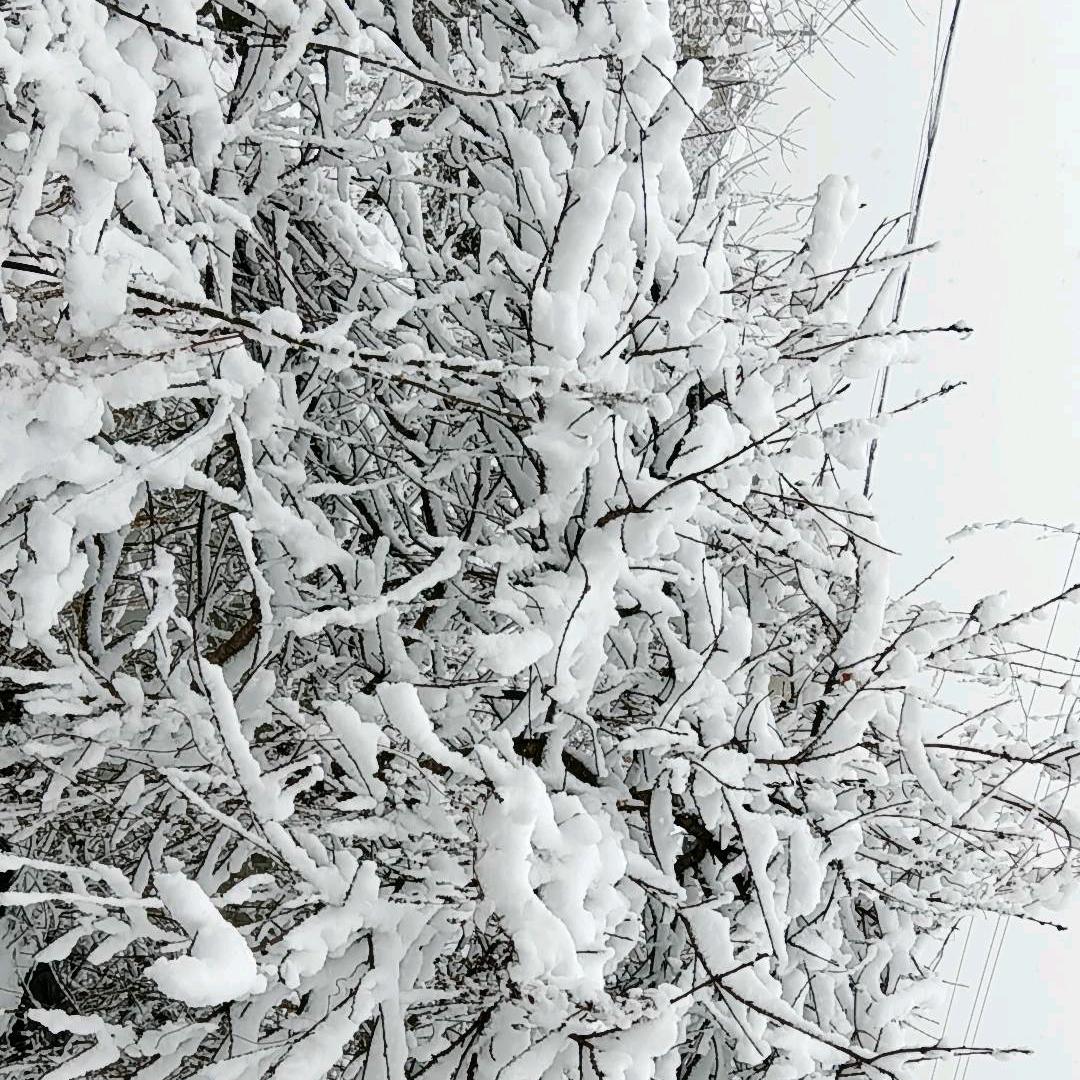 我行我素