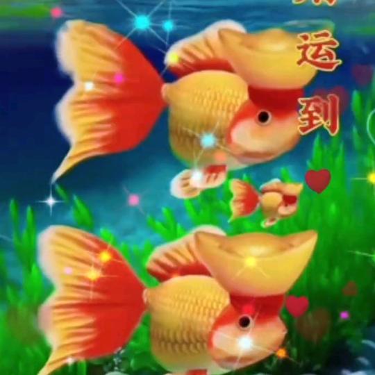 向往幸福