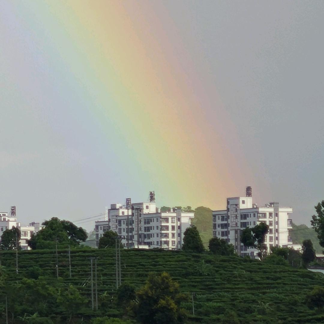 金元宝⌓