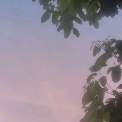 白白，，，，，