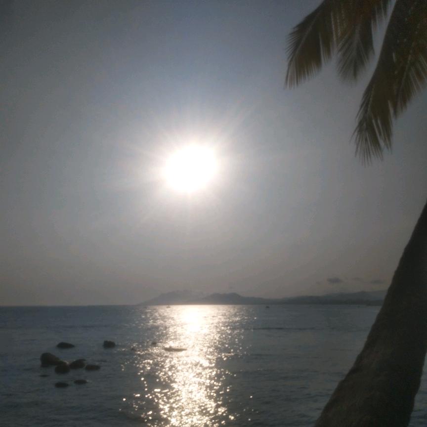 ※ヾ畱洧悇哋※