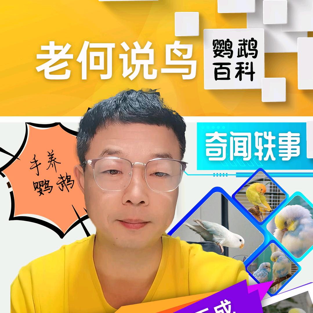手养鹦鹉