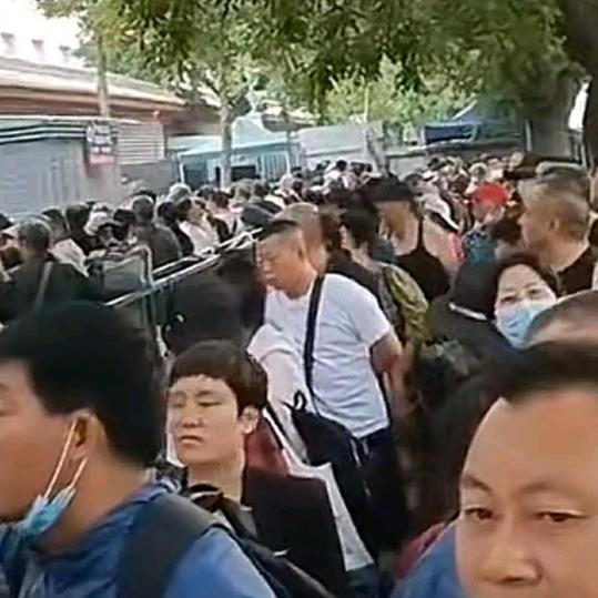 白发少年