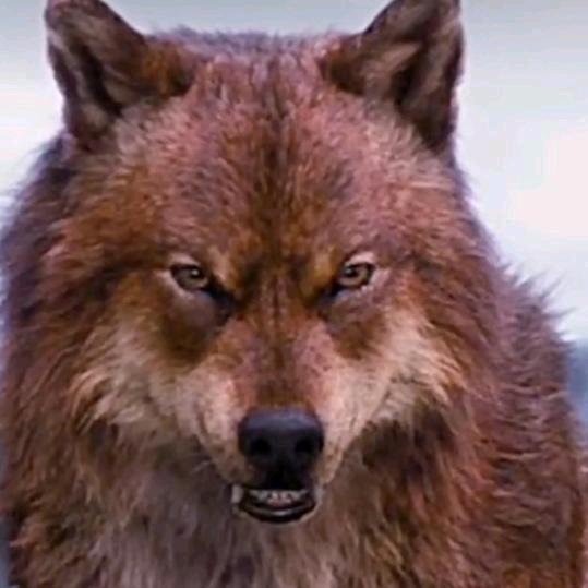 缘分让我们相遇在网络