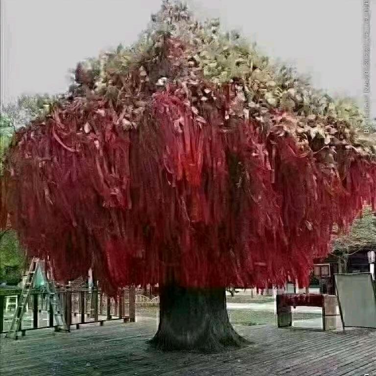 越来越好