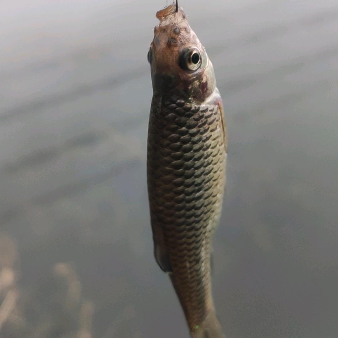🌈华   哥🎣