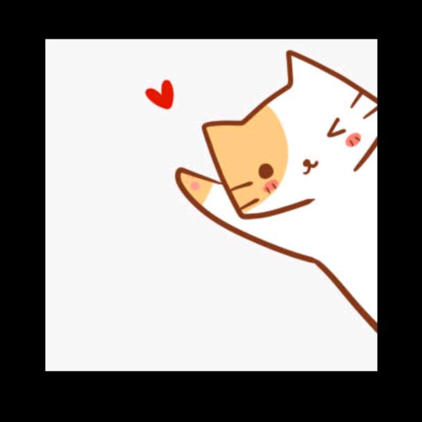 我们家的猫猫