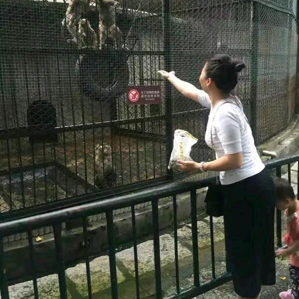 丽姐