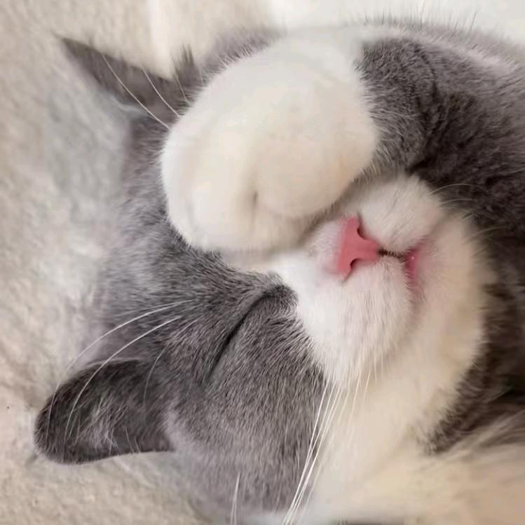 🦵  䒕丷玍