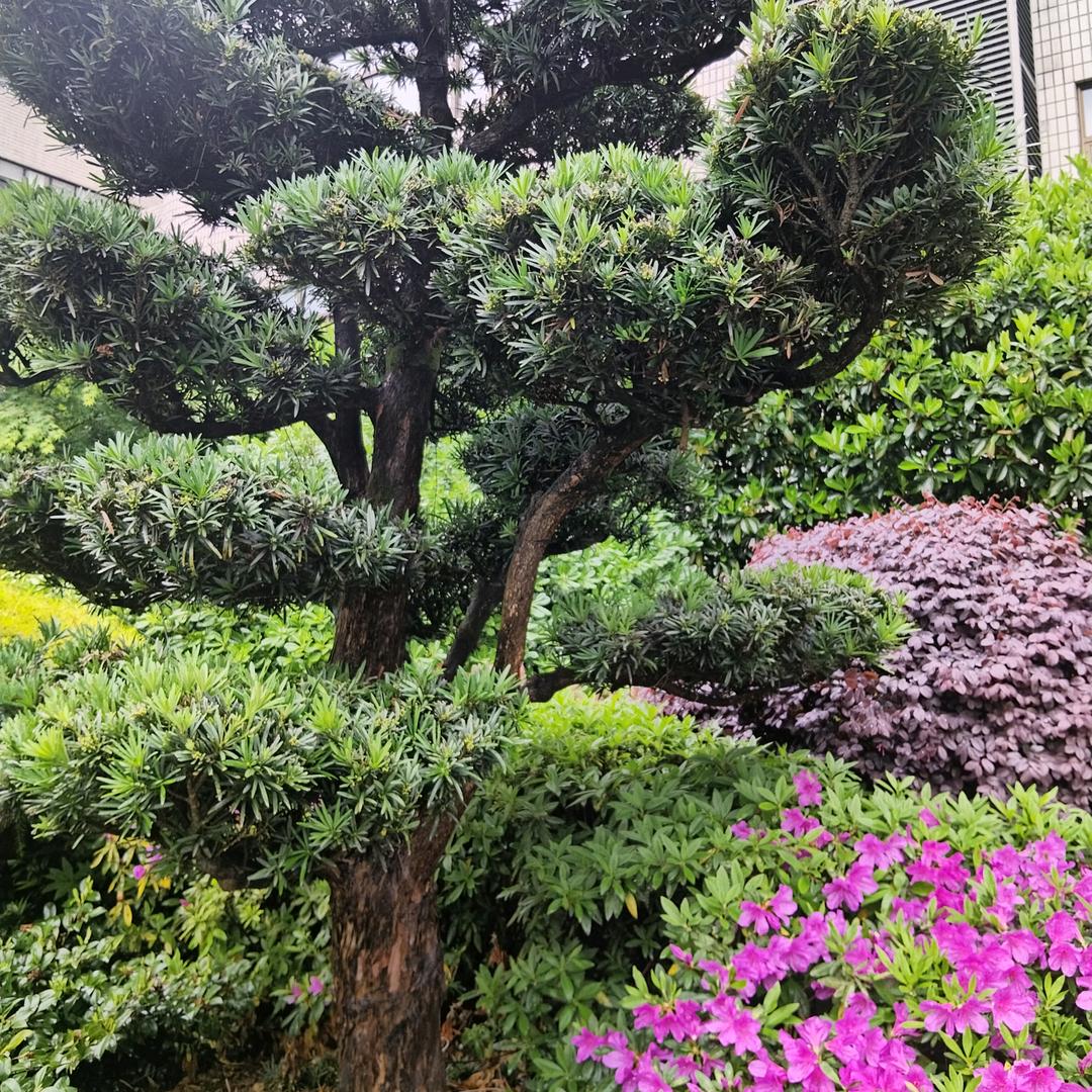 宅家