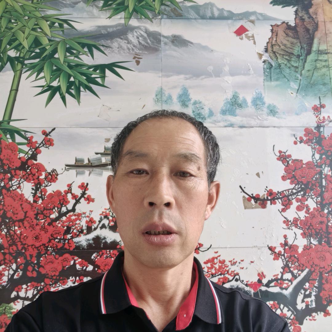 梦缘情感故事