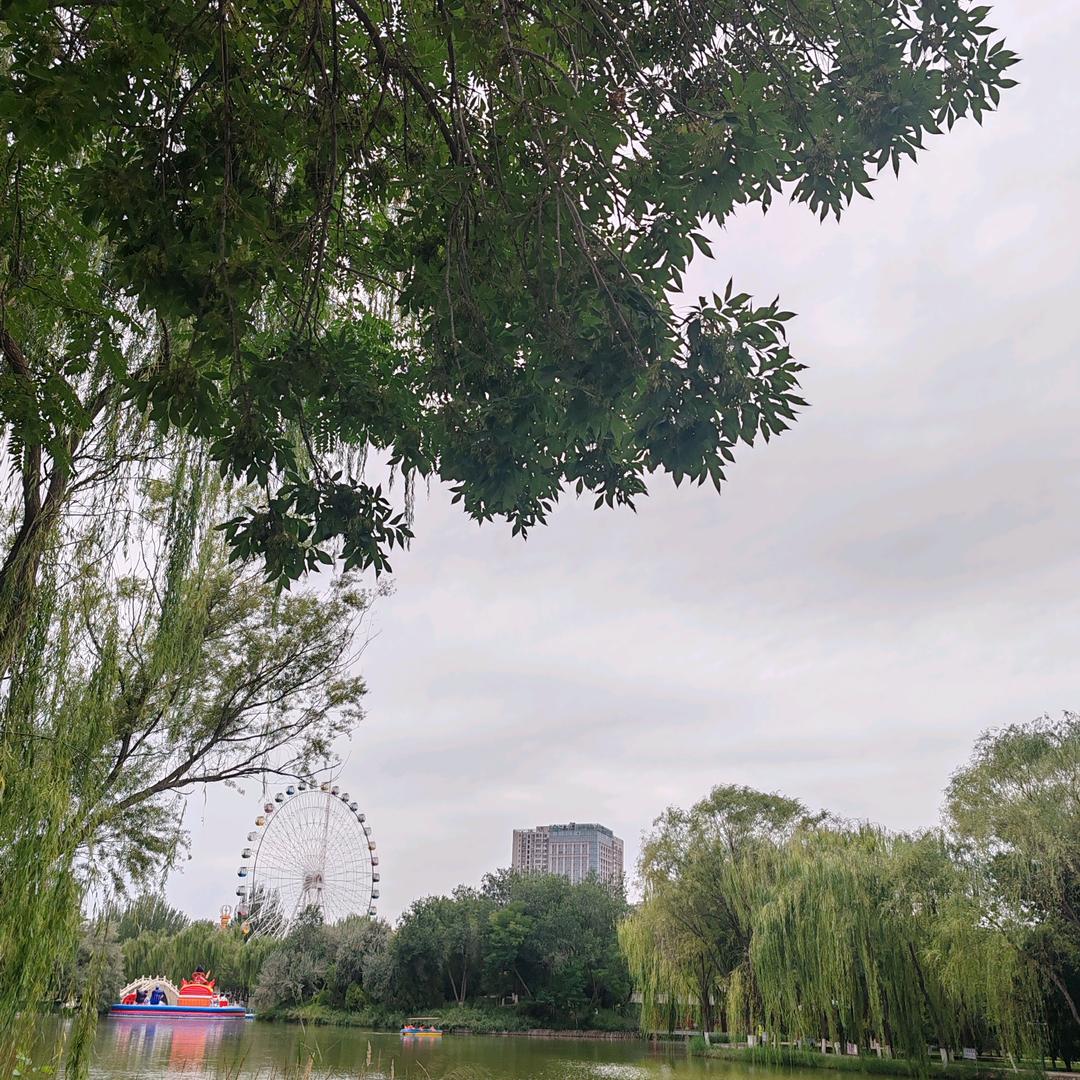 吕行成诺