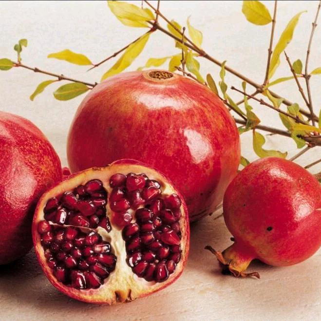 临沂药膳缘健康科技有限公司