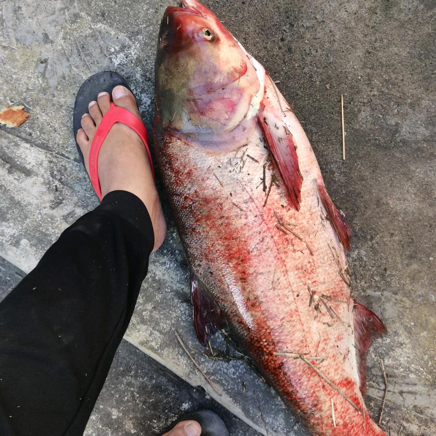 ꧔ꦿ࿐้吴李取闹🕊꧔ꦿ᭄💞