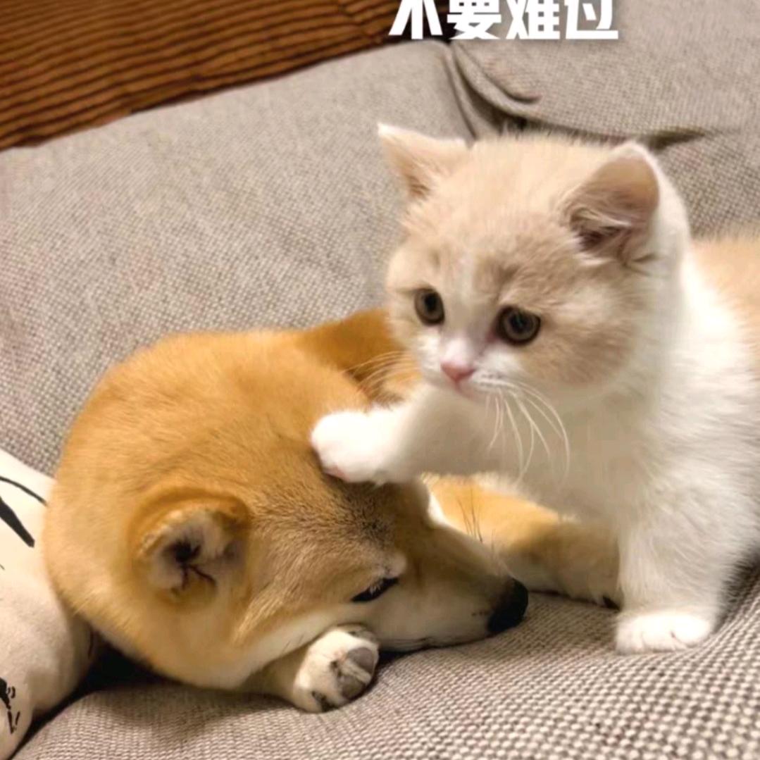 拈花微笑⁹²⁷¹