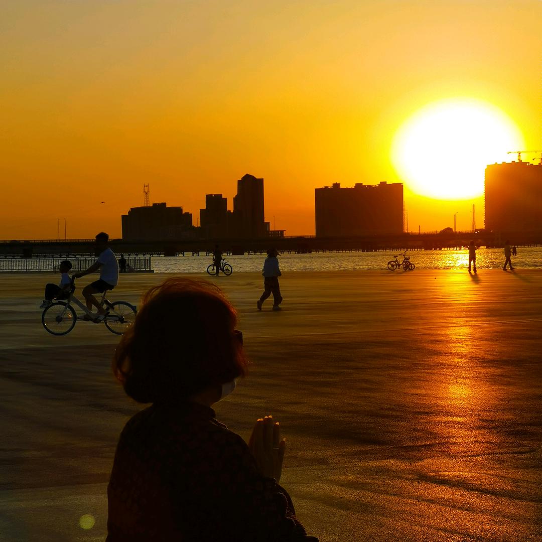 东风（手机摄影）