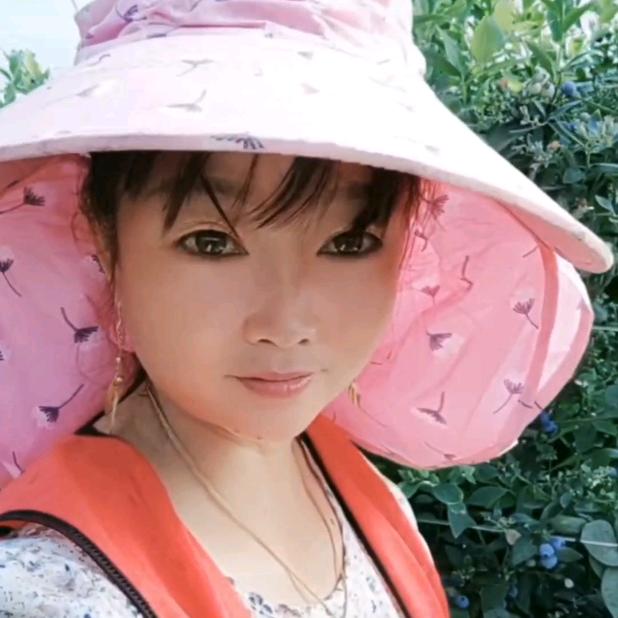 云南珍珍