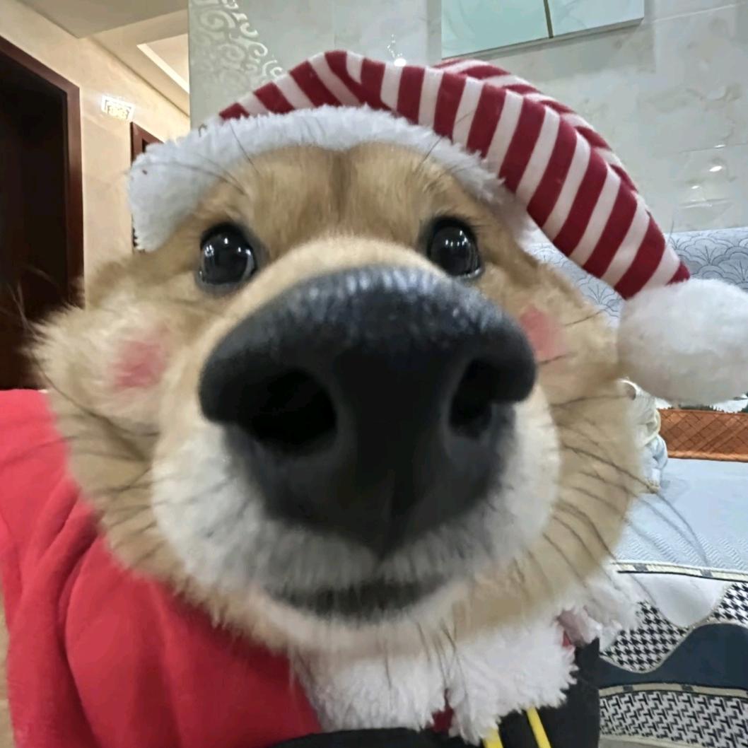 好好家🏠