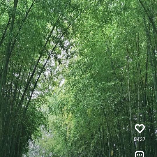 红