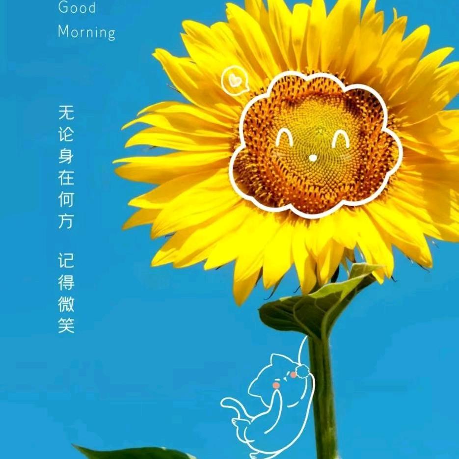 自定义QQ🐾¹¹²⁵