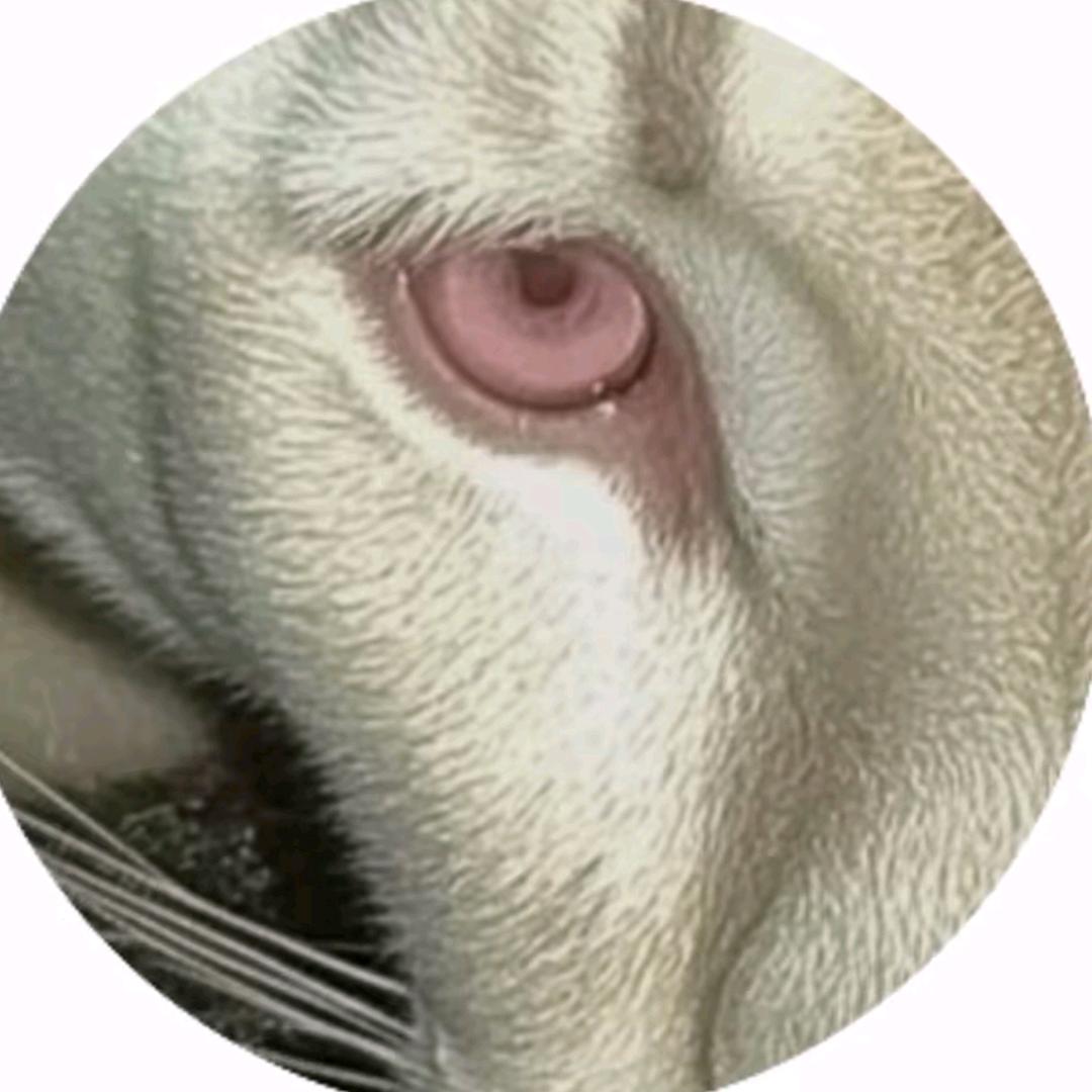 你的至尊宝☀️