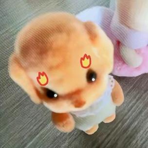 龟龟来了哦