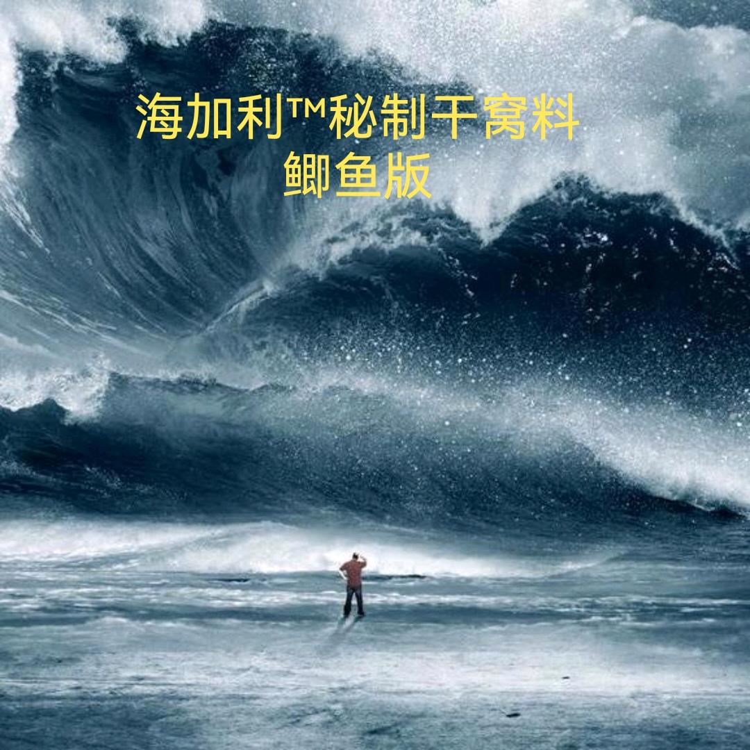 @灌西盐场海加利™渔具店