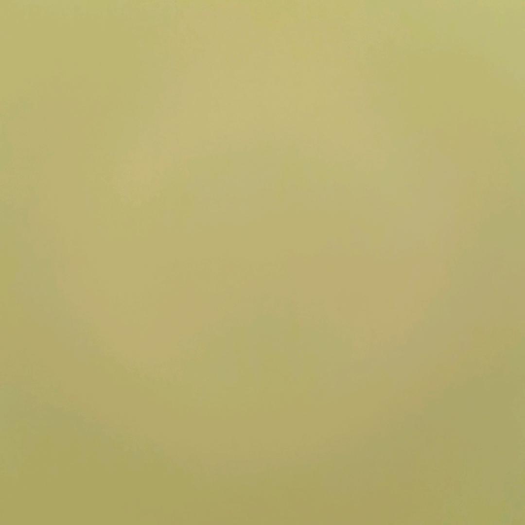 Y。