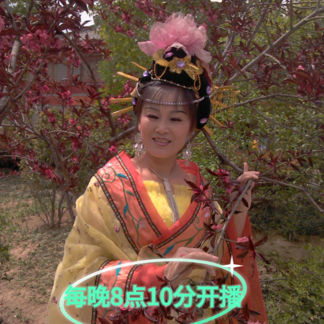 陕西王三妹