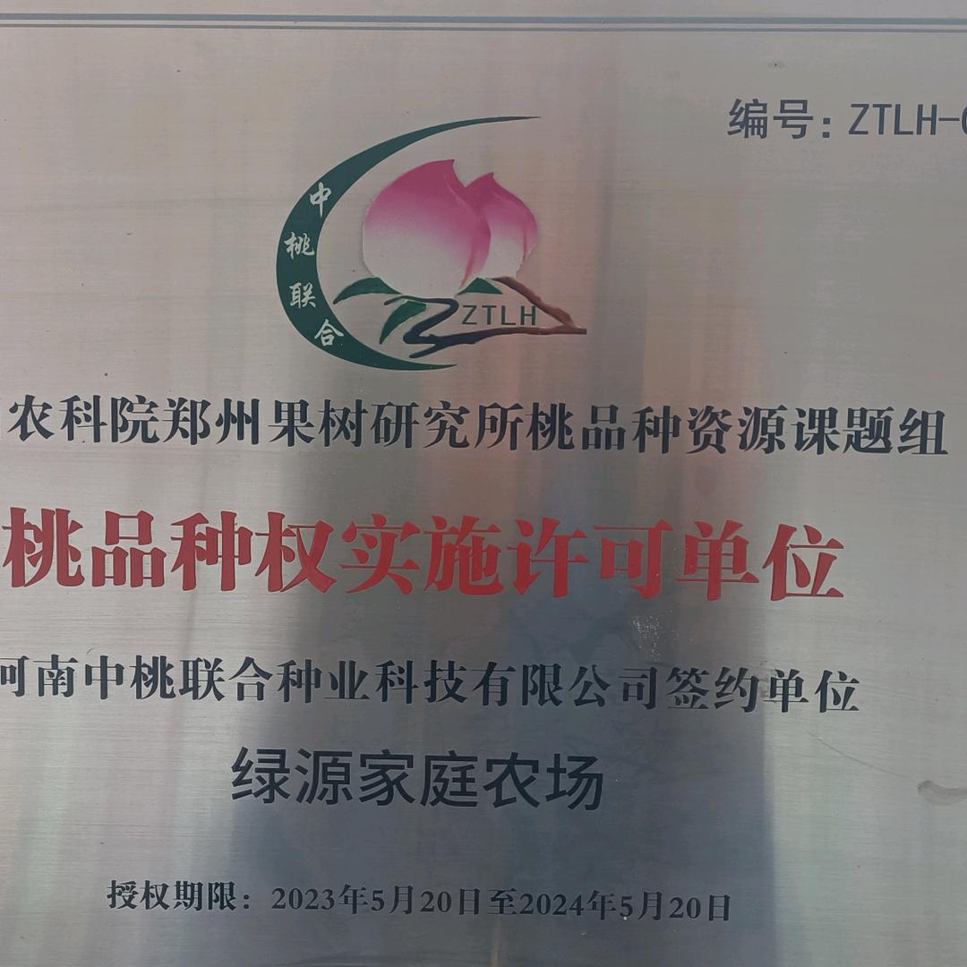 内黄县中召乡绿源家庭农场，（雨航果苗）