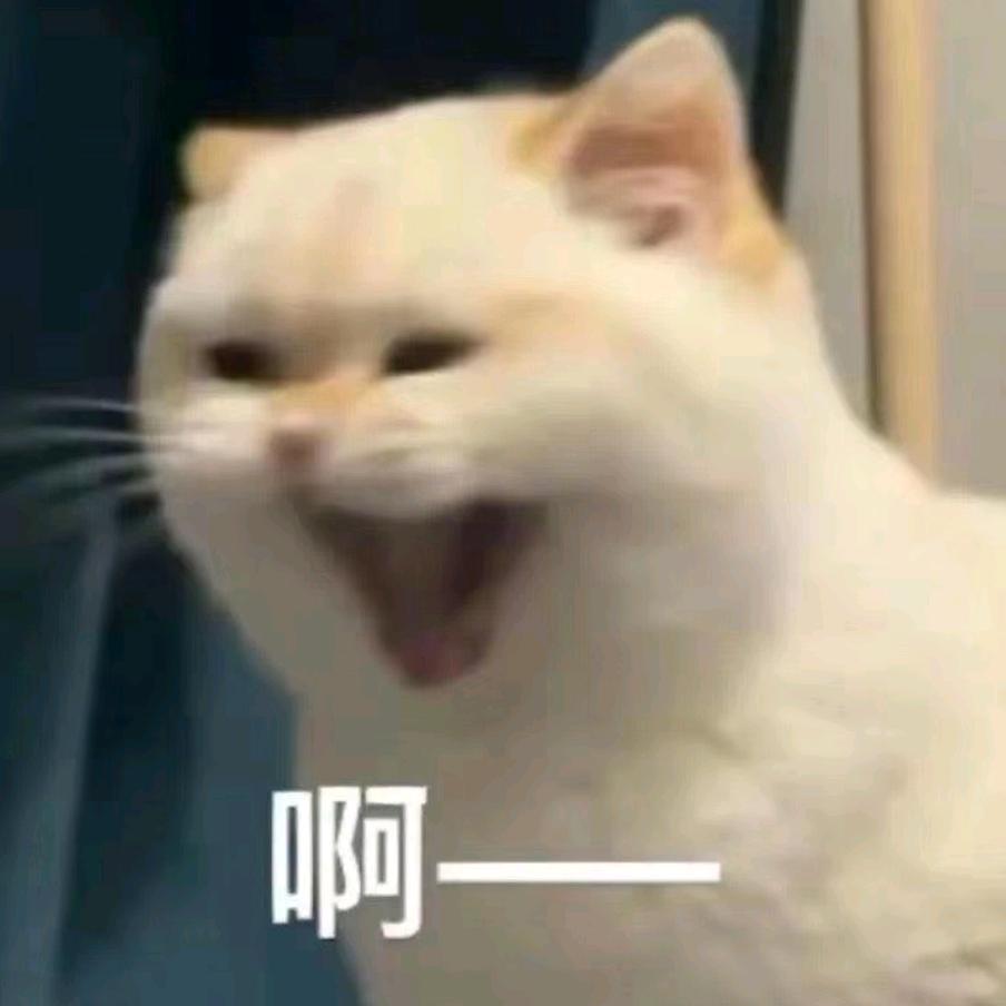 御夜司风