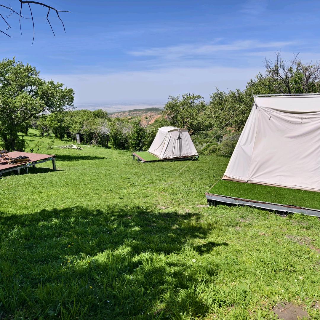 野果林森野轻奢露营地