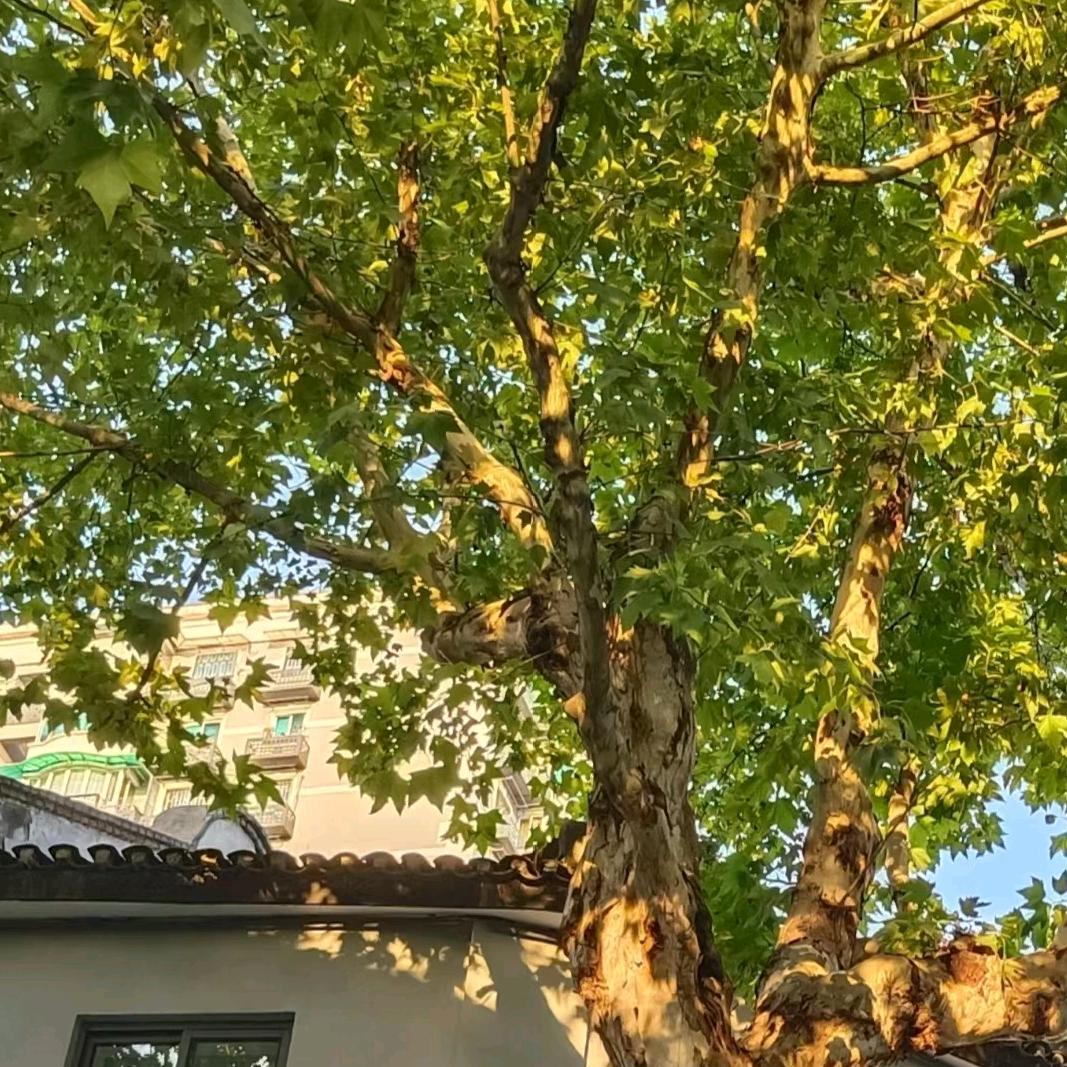 用户名22481198头像