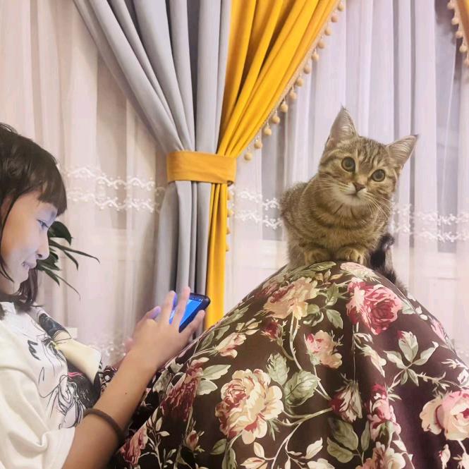 YulTuZ猫咪的的生活ViLoG
